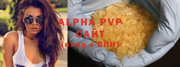 spice Богданович