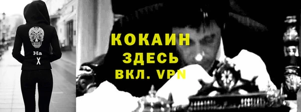 spice Богданович
