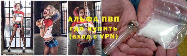 spice Богданович